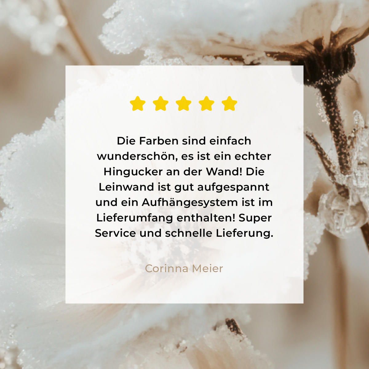 LEINWANDBILD Blumen - Winter - Weiß - Schnee - Beige 50x50 cm - Creme, Textil (50/50cm) - MuchoWow