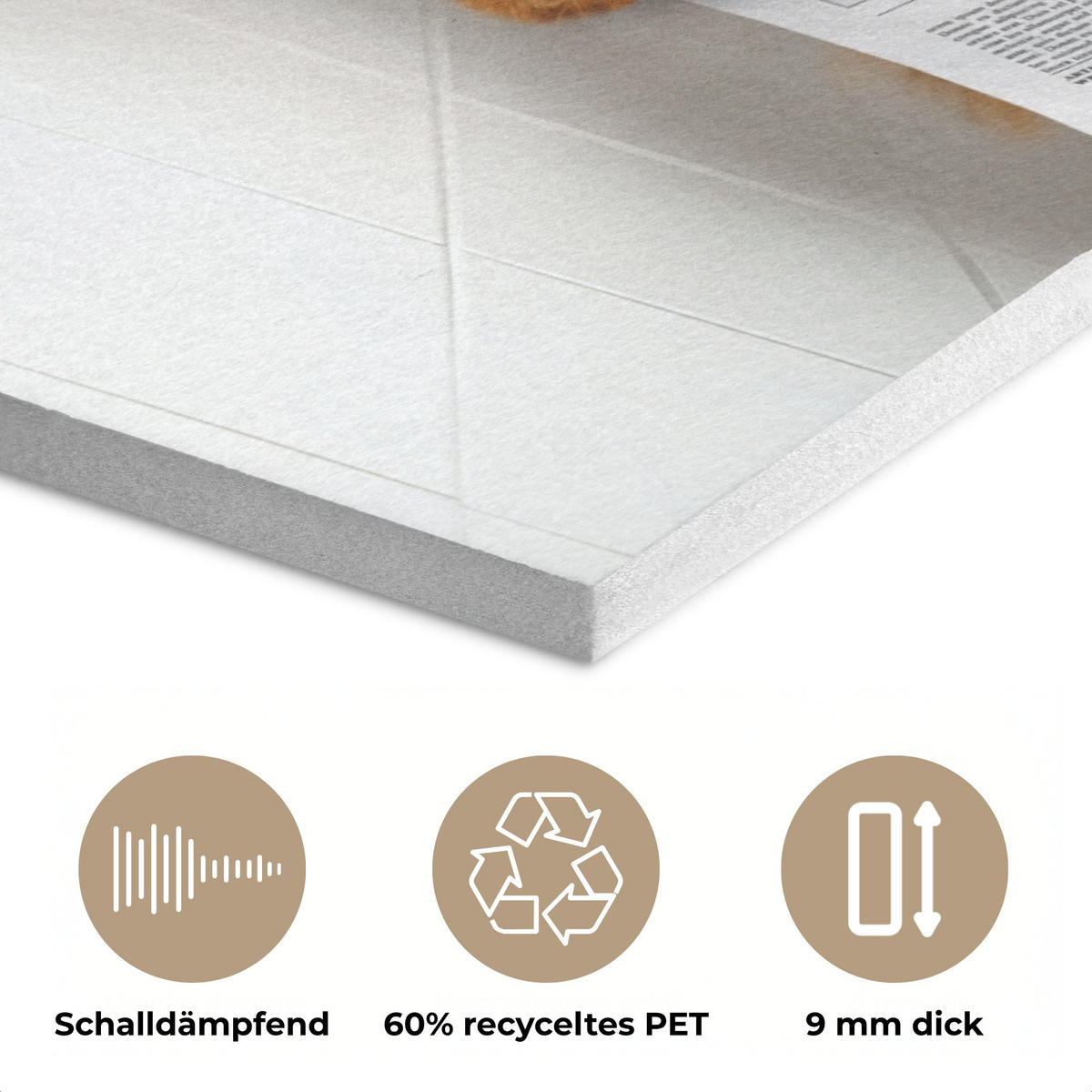 AKUSTIKPANEEL Schottisches Hochlandrind - Tier - Zeitung - Toilette 80x60 cm - Kastanienfarben, Textil (80/0.9/60cm) - MuchoWow