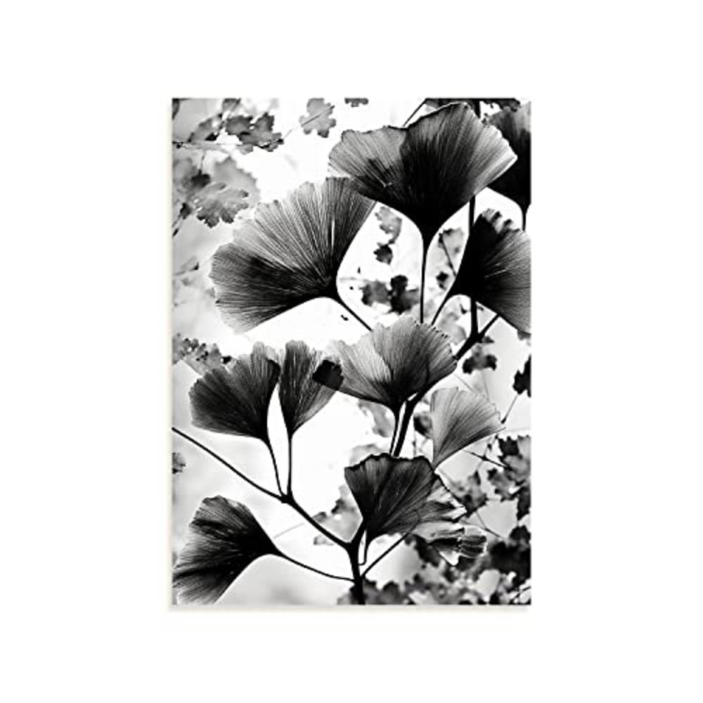 POSTER Vintage Gingko A4 Rahmenlos - Klar, Papier (29.7/5/21cm) - Nacnic