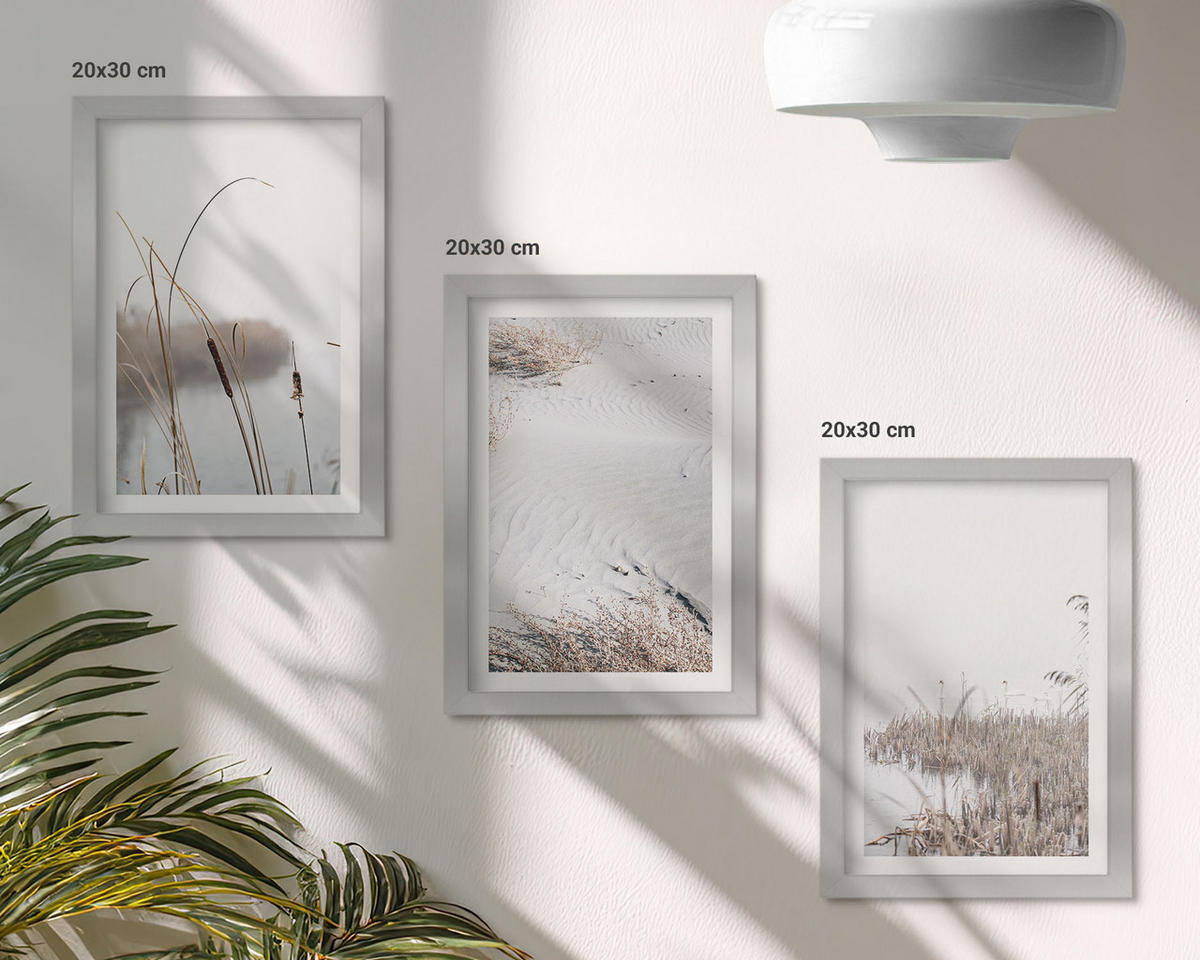 BILDER SET 3er Set - 20x30 cm Silberner Rahmen - Wasserpflanzen im Sommer - Silberfarben, Kunststoff (20/30cm) - TULUP