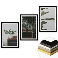 WANDBILDER 3er-Set - 40x60 cm Schwarzer Rahmen - Rustikale Topfpflanzen - Schwarz, Kunststoff (40/60cm) - ArtPrintCave