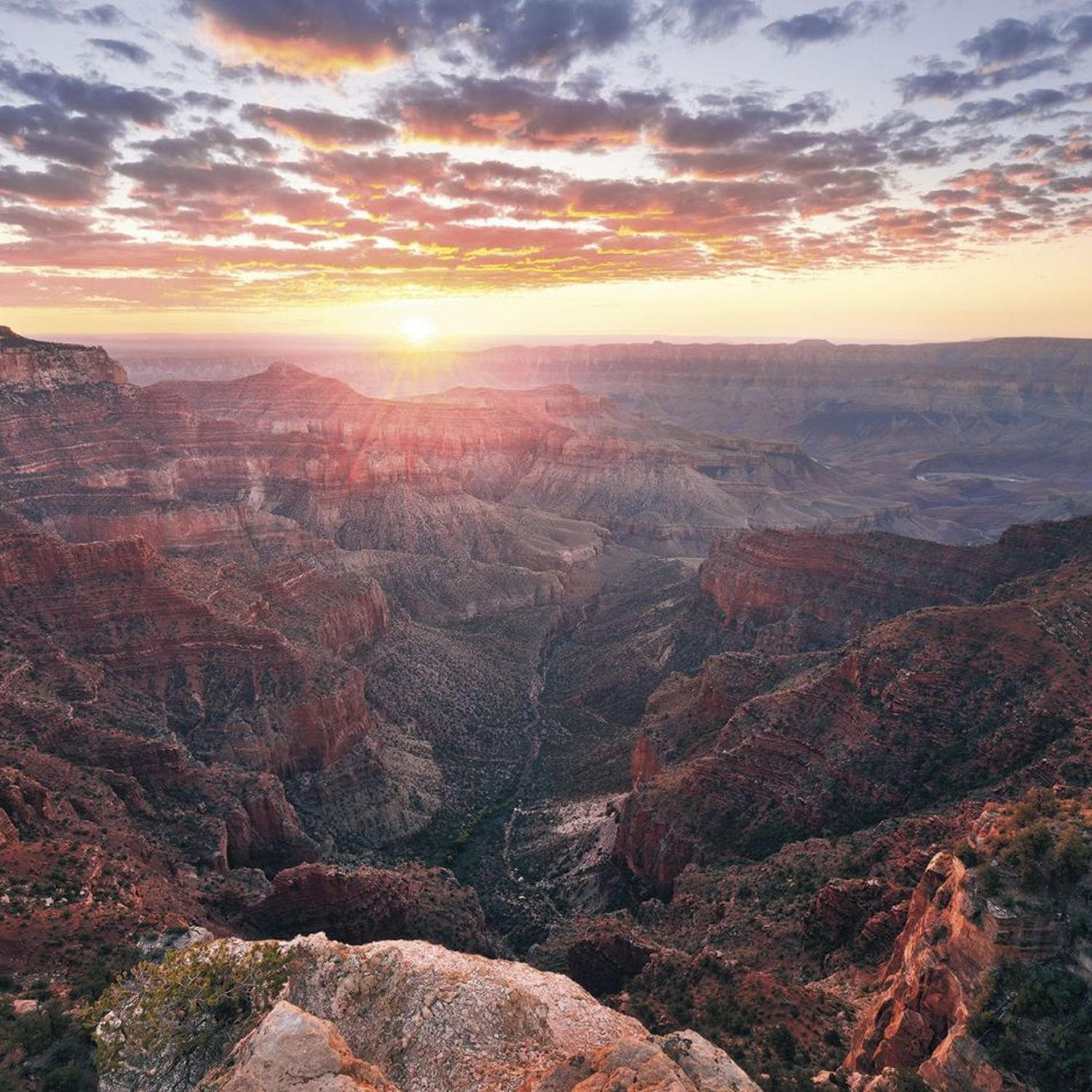 FOTOTAPETE Grand Canyon 400 x 250 cm - Braun, Papier (400/250cm) - Sanders & Sanders