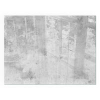 GLASPLATTE für Kamin 80x60 cm - Grau, Glas (80/60/0.4cm) - TULUP