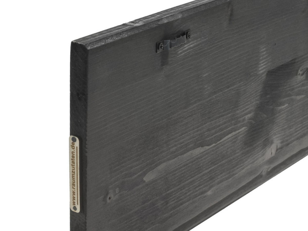 WANDBILD Turtles Holz 80/20 cm - Sandfarben/Braun, Holz (2.5/20cm) - Raumzutaten