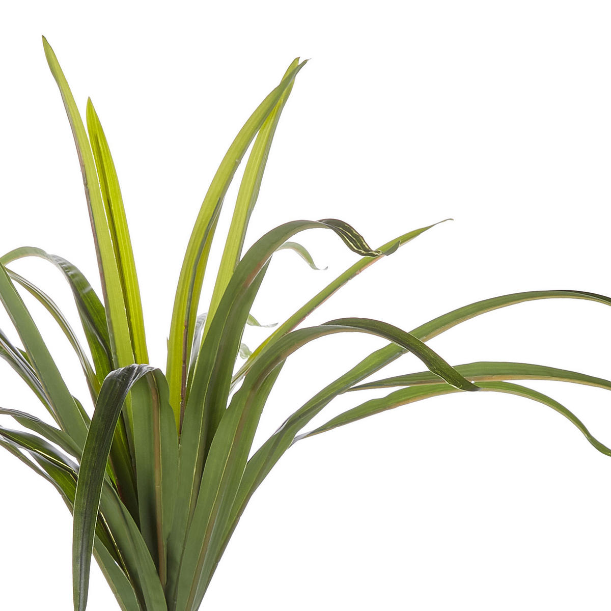 KUNSTPFLANZE im Blumentopf 147 cm Grün/Schwarz Dracaena Anita - Schwarz/Grün, Kunststoff (147cm) - Beliani