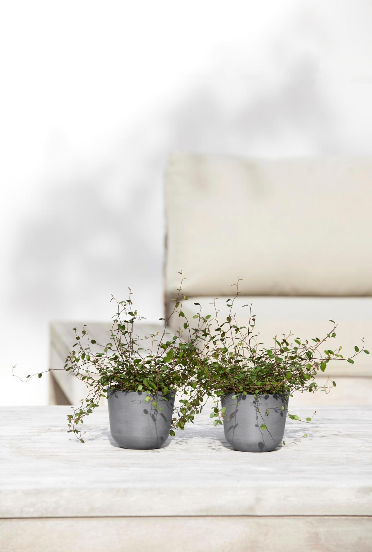 BLUMENTOPF Oslo Mini 11,4/9,5 cm Grau - Grau, Kunststoff (11.4/9.5cm) - Ecopots
