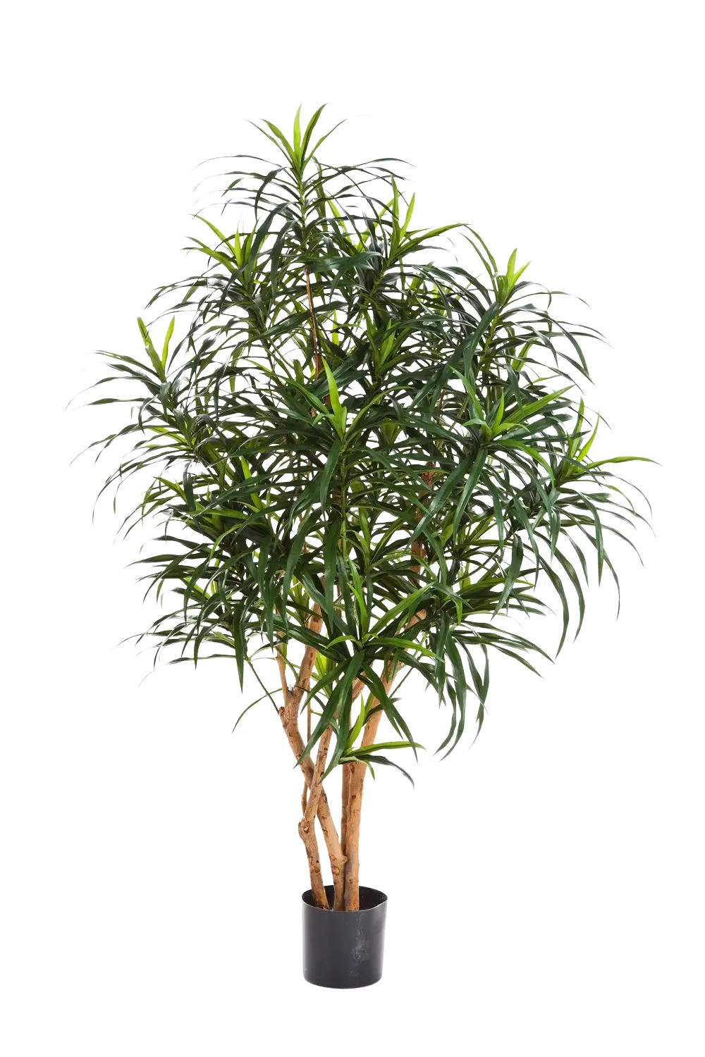 KÜNSTLICHER Drachenbaum - Hauke 120 cm - Grün, Kunststoff (120cm) - aplanta