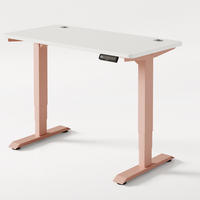 SCHREIBTISCH Elektrisch Höhenverstellbarer HomePro 120x60cm Rosa/Weiß mit Memory-Funktion, Anti-Kollisions Technologie - Pink/Weiß, Holzwerkstoff (60/120/72cm) - Desktronic