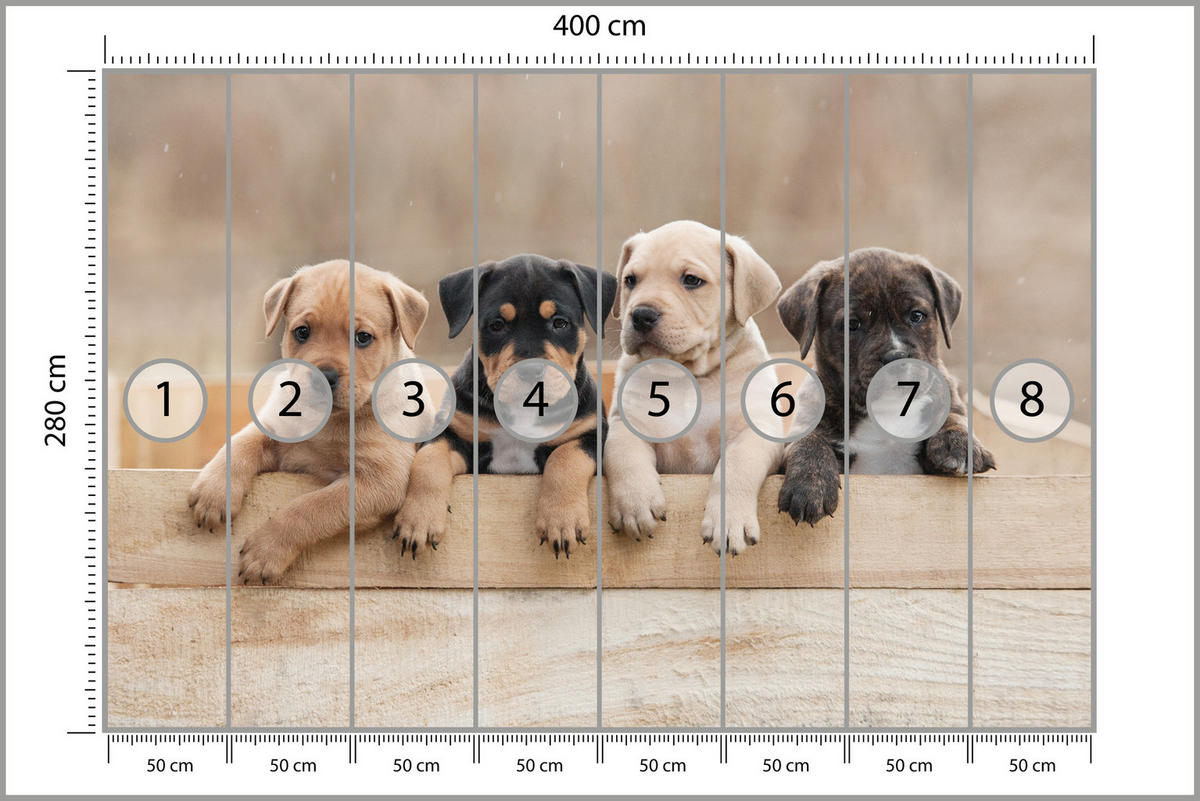 FOTOTAPETE für Kinderzimmer Süße Hunde Tiere 400x280 - Beige/Schwarz, Papier (400/280cm) - Muralo