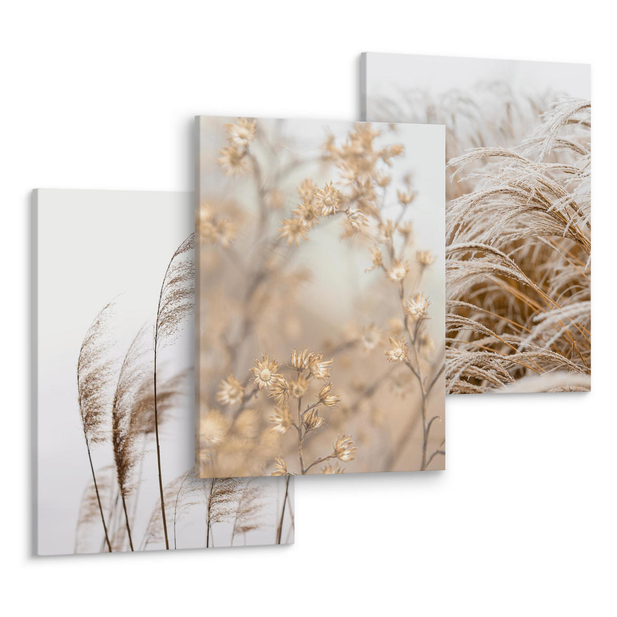 LEINWANDBILDER 3-er Set Pflanzen Natur - Beige/Braun, Textil (90/40cm) - Muralo