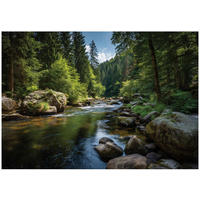 FOTOTAPETE Wald Fluss Grün 200x140 cm - Multicolor, Papier (200/140cm) - Wallarena