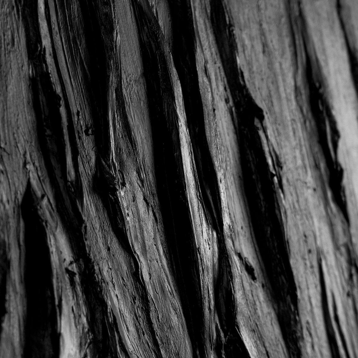 GEMÄLDE Samt Schattenfugenrahmen Schwarz 140x100 cm - Schwarz, Holz (140/100cm) - YS-art gallery