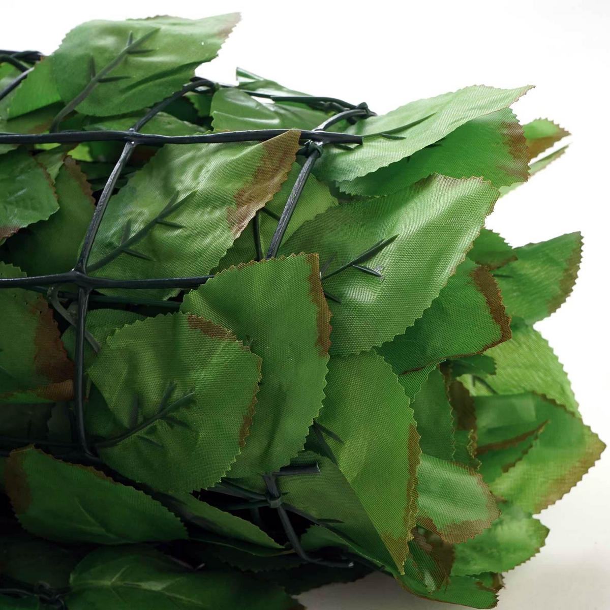 BALKONSICHTSCHUTZ BUCHE Hellgrün - Hellgrün, Textil (300/150cm) - MCW