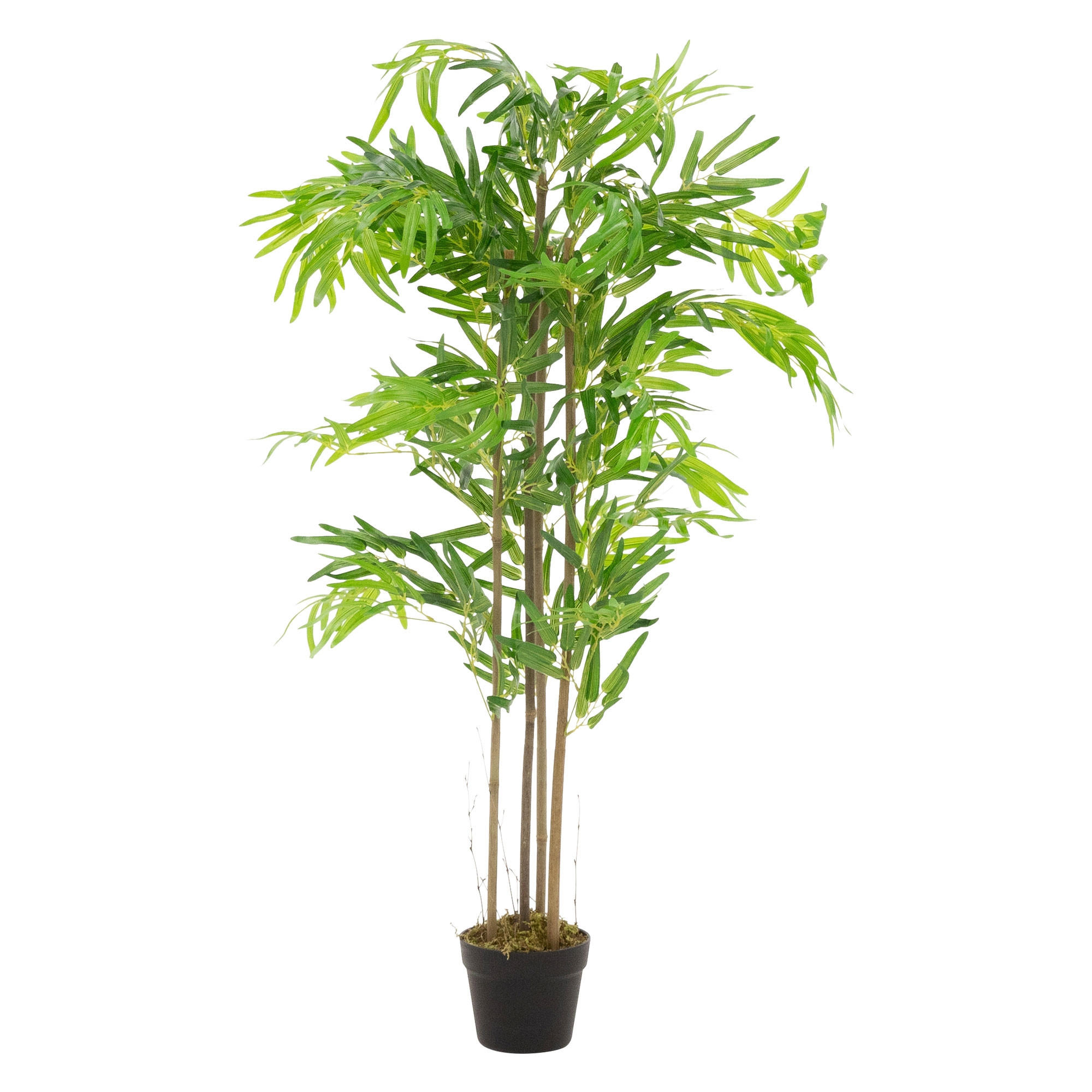 KUNSTPFLANZE Bambus - Anthrazit/Grün, Holz/Kunststoff (120cm) - ML-DESIGN