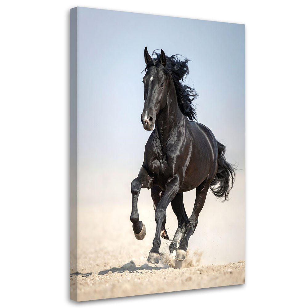 Feeby Bilder, Schwarz 30x45 cm