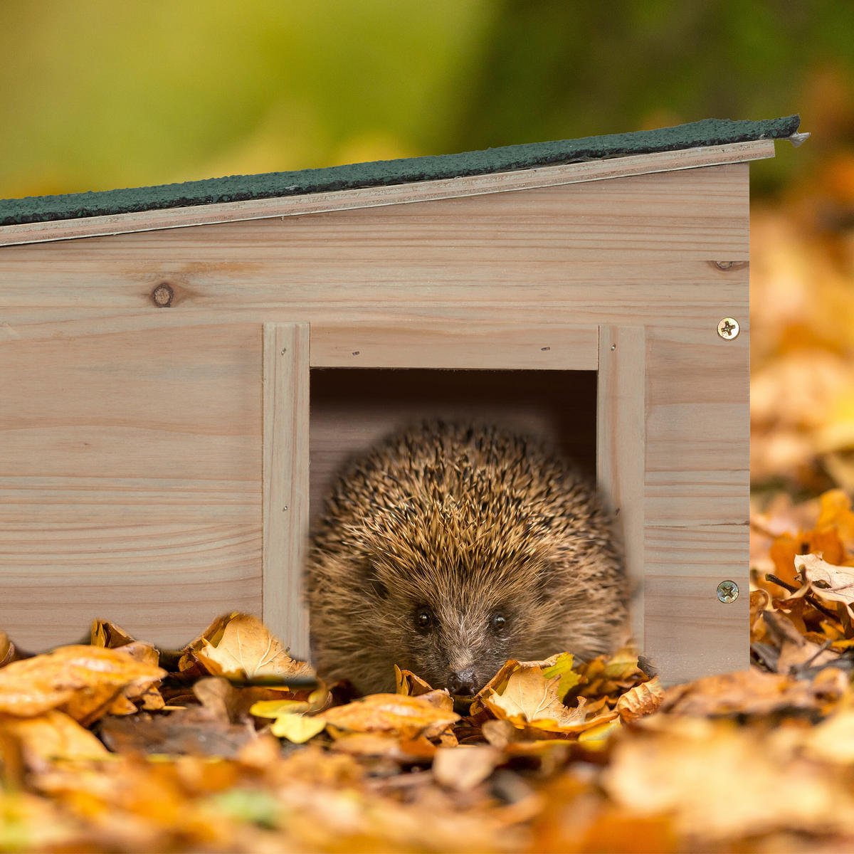 IGELHAUS - Hellbraun, Holz/Kunststoff (40/21.5/40cm) - Relaxdays