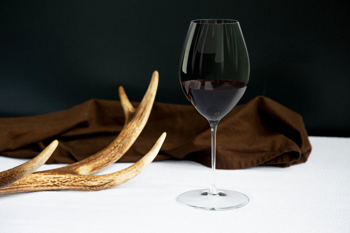 SYRAH SHIRAZ GLÄSER INKL. POLIERTUCH Performance transparent 631 ml 2er Set - Transparent, Glas (0.631L) - Riedel