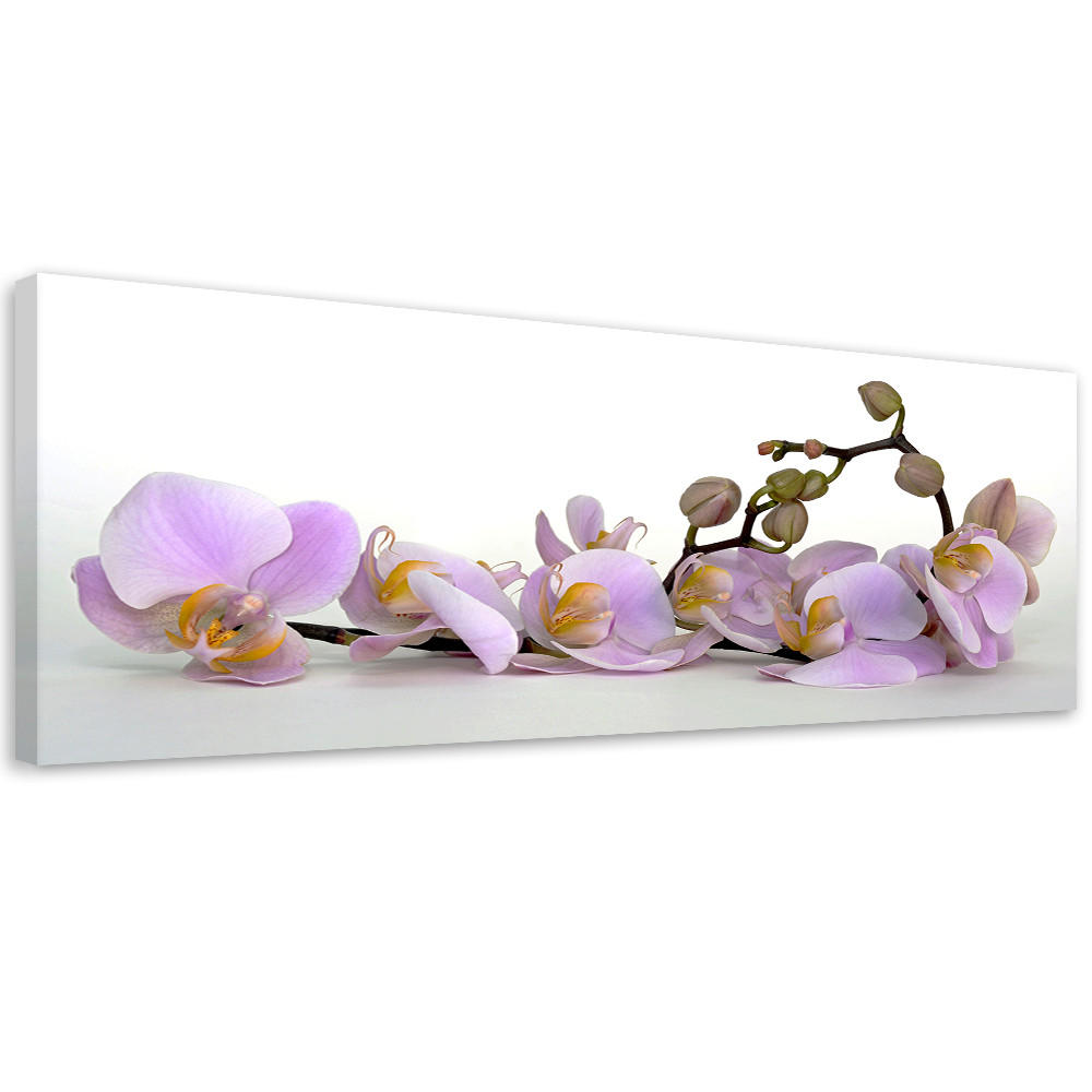 WANDBILD blühende orchideenblüte - Weiß, Textil (90/30cm) - Feeby