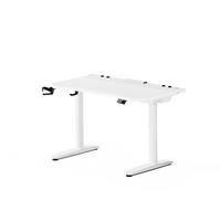 ELEKTRISCH verstellbarer Gaming-Schreibtisch X-Forge 120 x 70 cm - Weiß, Metall (70/160/73cm) - Diablo Chairs