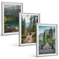 BILDER SET 3er Set - 40x60 cm Silberner Rahmen - Berge, Seen, Wälder, Wege - Silberfarben, Kunststoff (40/60cm) - TULUP