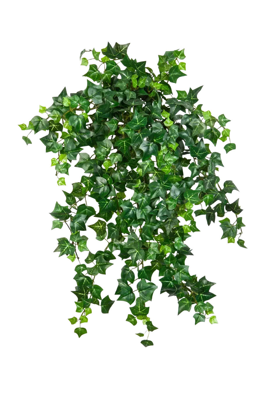 KUNSTPFLANZE Künstlicher Efeu - Emilio 50cm - Grün, Kunststoff (50cm) - aplanta