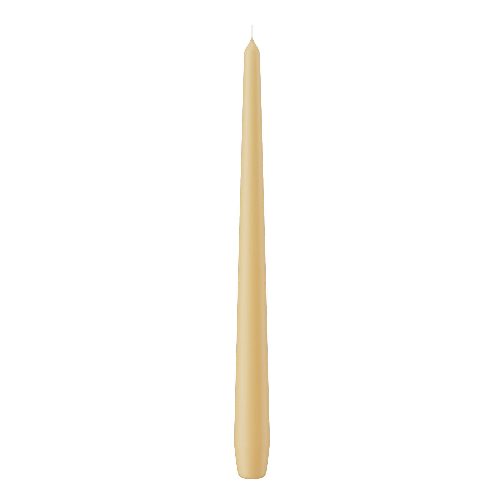Wiedemann Kerzen Spitzkerzen Champagner 2.5x30x30 cm