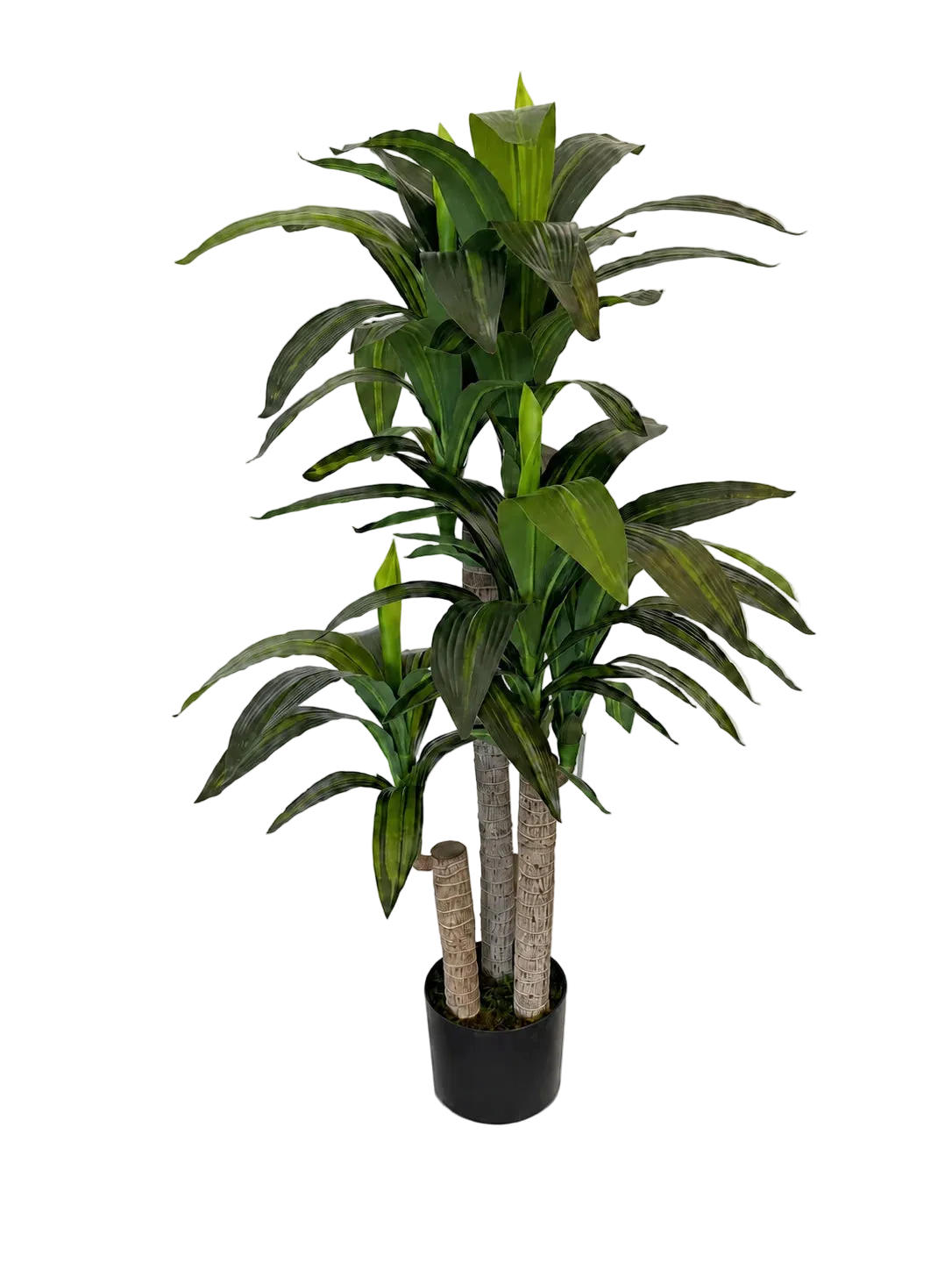 KUNSTBAUM Künstliche Dracaena – Maevor 120 cm - Grün, Kunststoff (120cm) - aplanta