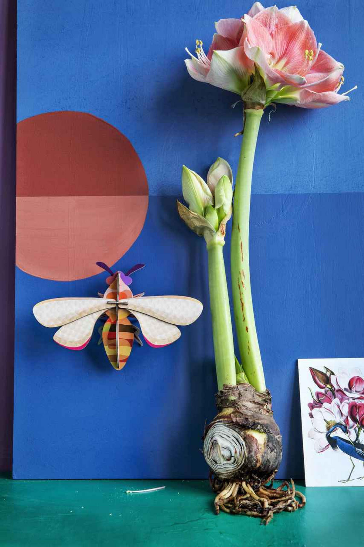 WANDDEKO Honigbiene 20/6 cm - Pink/Orange, Wellpappe (20/6/14cm) - KUNSTLOFT