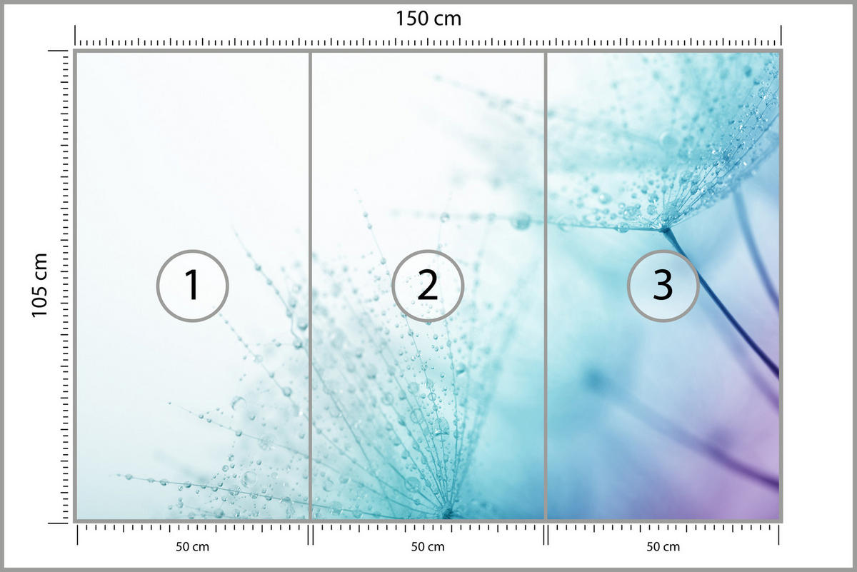 FOTOTAPETE für Badezimmer Leuchtende Löwenzahnblüten Wassertropfen Blau 150x105 - Türkis/Blau, Papier (150/105cm) - Muralo