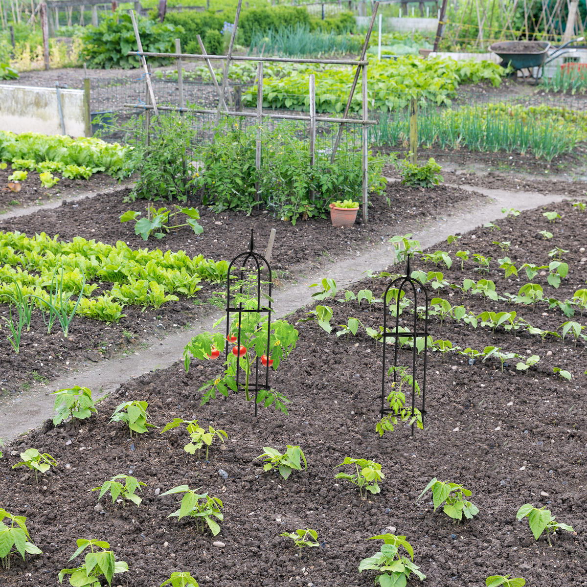 2xRANKHILFE - Schwarz, Kunststoff/Metall (25/85/25cm) - Relaxdays