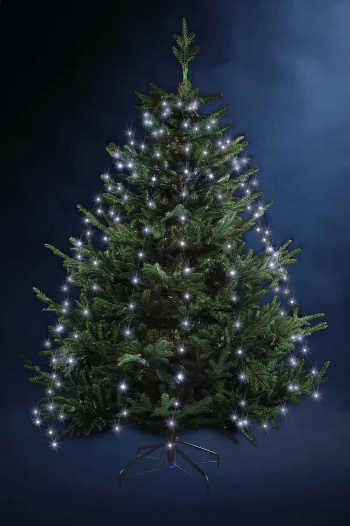 LICHTERKETTE Weiß 170 LED - Weiß, Kunststoff (165cm) - Fééric Lights and Christmas