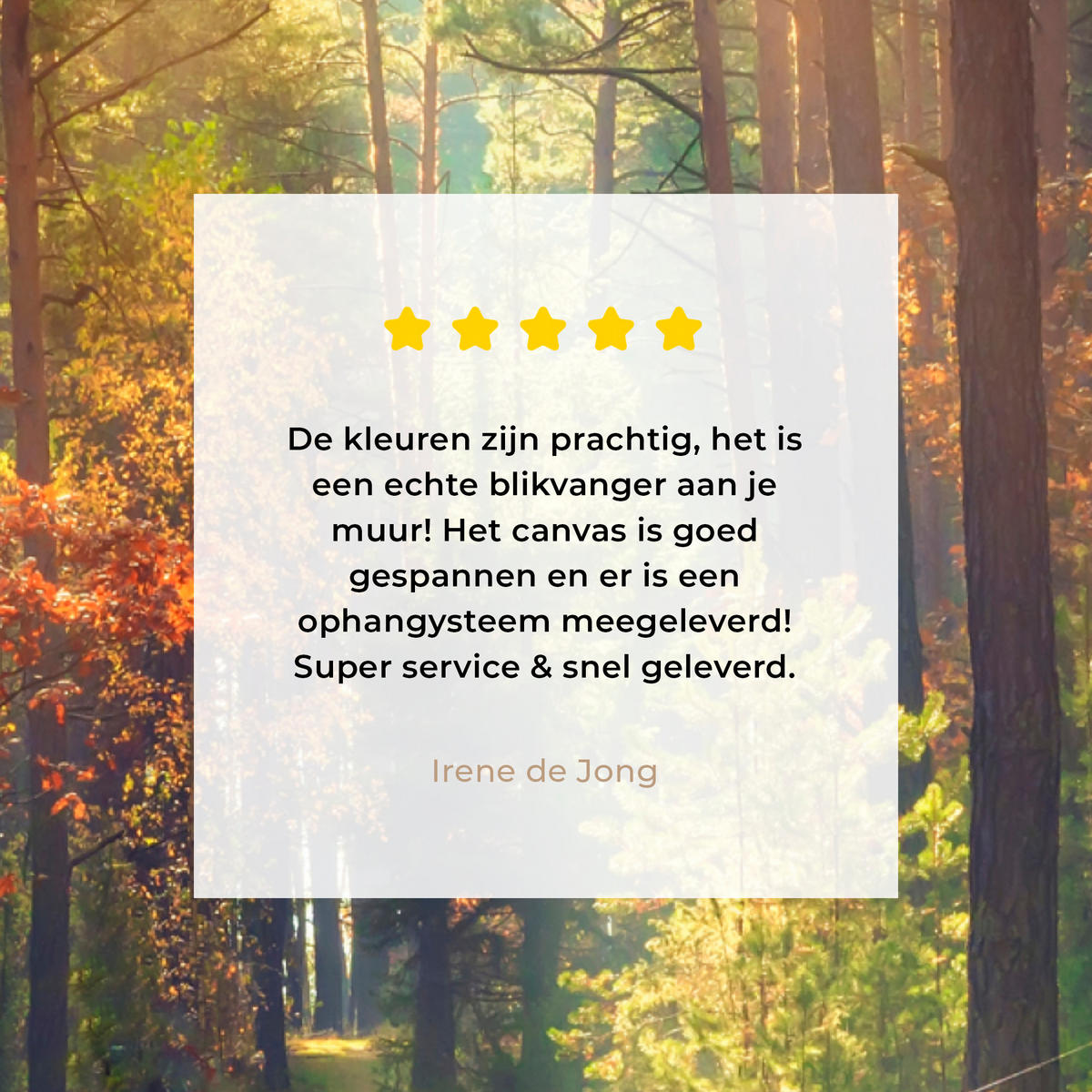 LEINWANDBILD Wald - Herbst - Bäume Wandbild Wohnzimmer 60x80 cm - Dunkelgrün, Textil (60/80cm) - MuchoWow