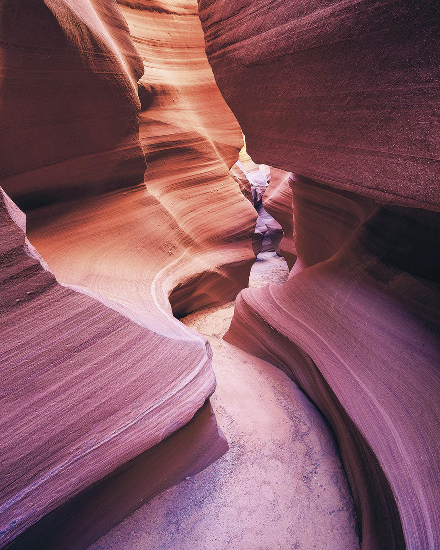 FOTOTAPETE Grand Canyon 200 x 250 cm - Pink, Papier (200/250cm) - Sanders & Sanders