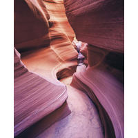 FOTOTAPETE Grand Canyon 200 x 250 cm - Pink, Papier (200/250cm) - Sanders & Sanders