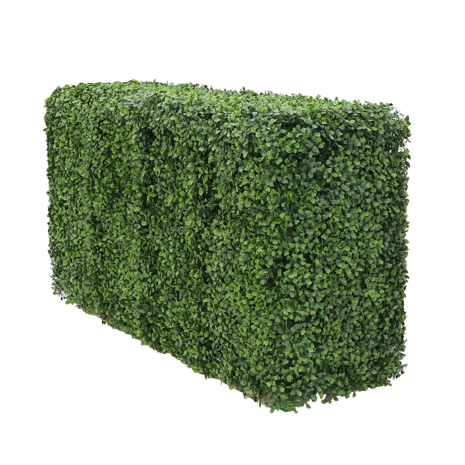 KUNSTPFLANZE Künstliche Buchsbaumhecke - Jonas 100x50 cm - Grün, Kunststoff (50cm) - aplanta