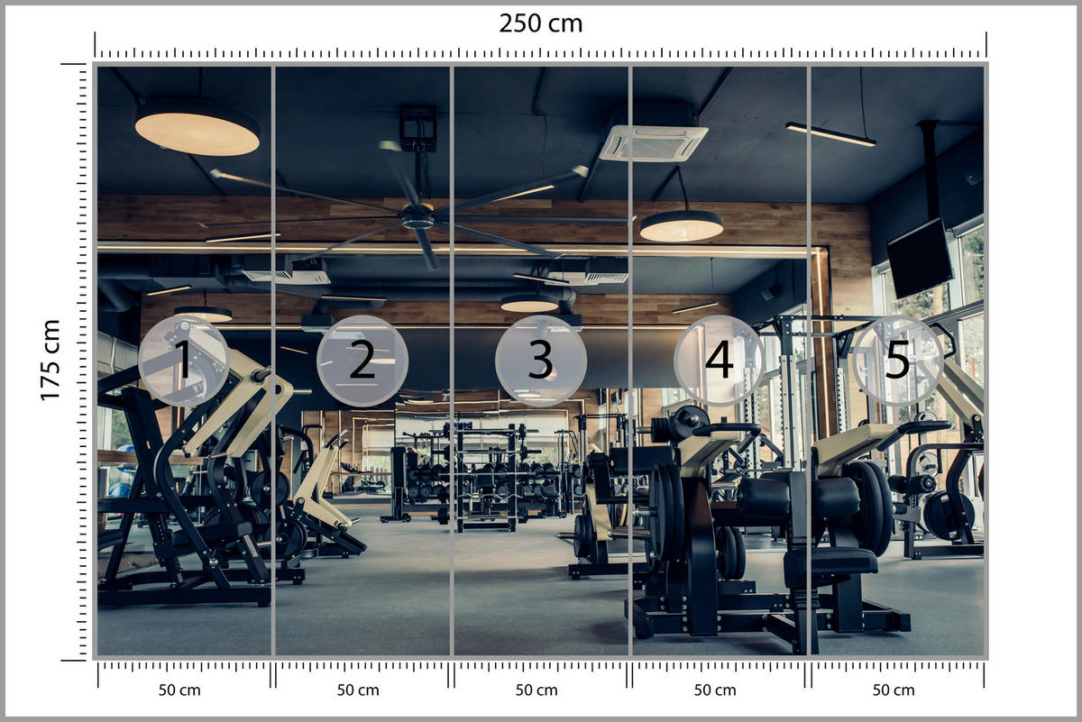 FOTOTAPETE Modernes Fitnessstudio Trainingsgeräte Sport 250x175 - Schwarz/Braun, Papier (250/175cm) - Muralo