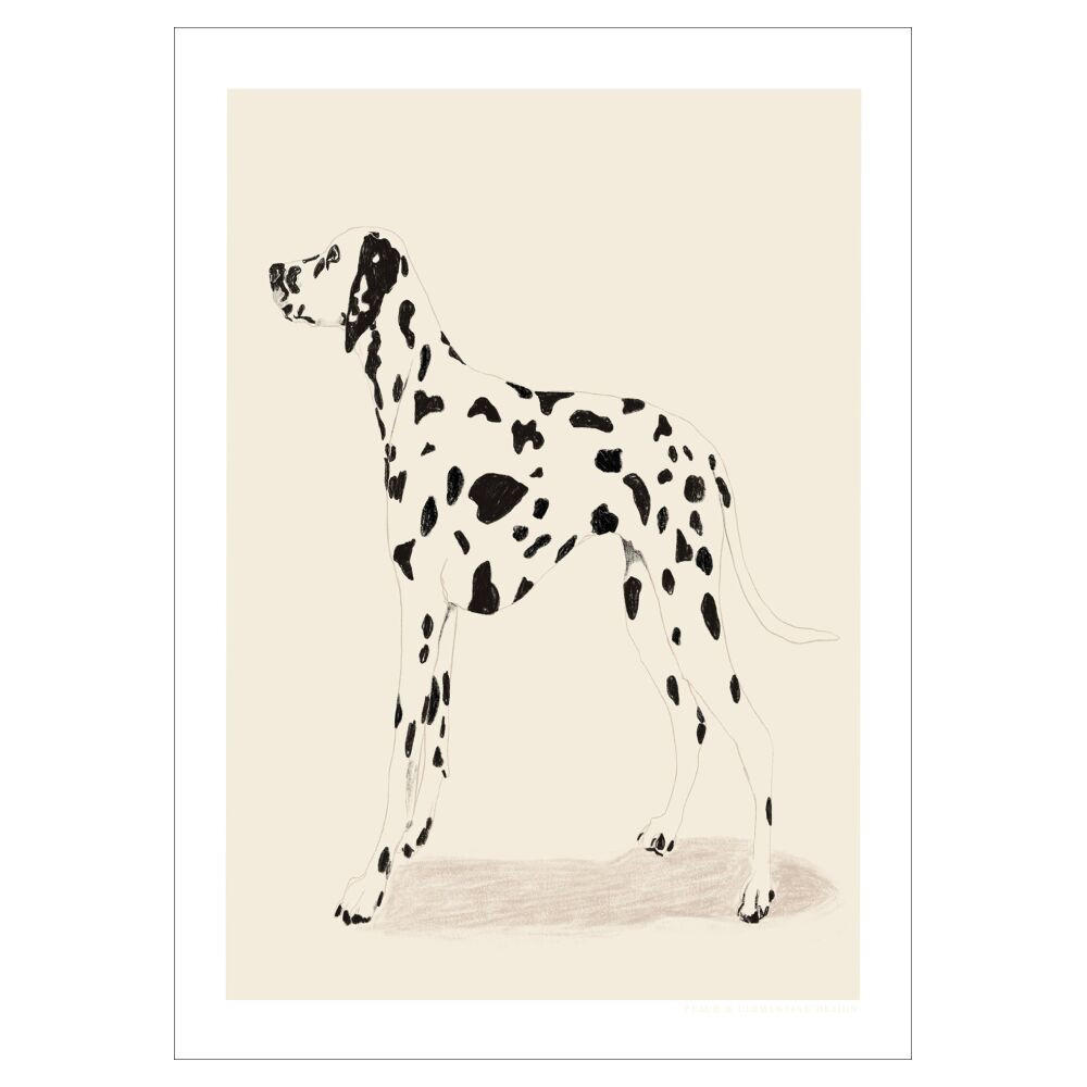 POSTER Jenny Liz Rome - Dalmation - Naturfarben, Papier (50/70/0.1cm) - Poster&Frame