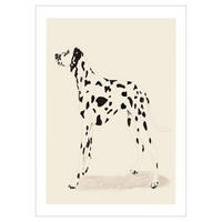 POSTER Jenny Liz Rome - Dalmation - Naturfarben, Papier (50/70/0.1cm) - Poster&Frame