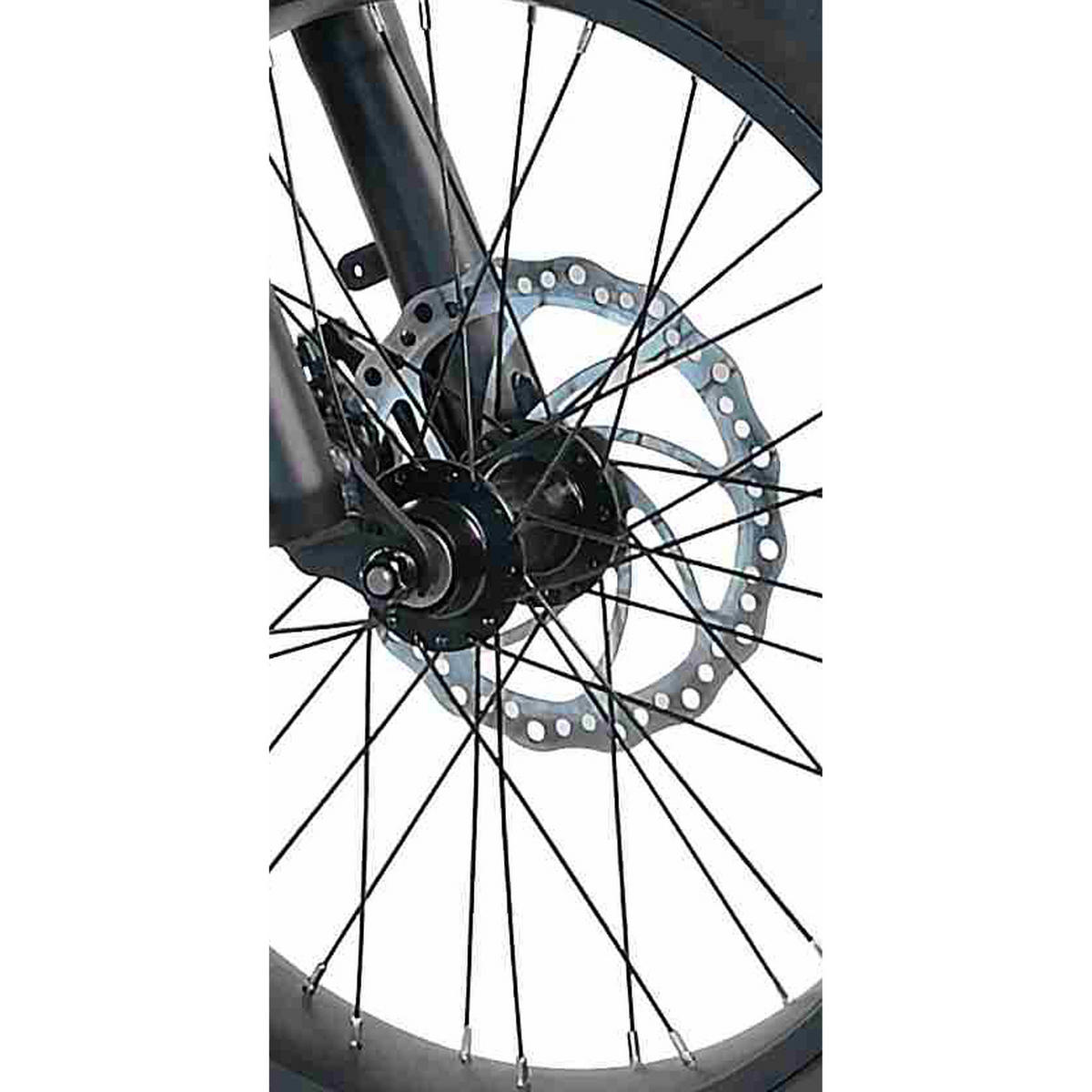 MOTO E-BIKE 20" MOTO 2.6 - Schwarz, Metall (110cm) - LLOBE