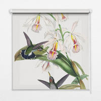 VNÚTORNÁ roleta - okenná roleta - roleta - 60x140 cm - Vtáky na kvete - sivá, plast (60/140/0.5cm) - TULUP