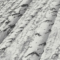 VLIESTAPETE Weiß 53/1005 cm - Weiß/Grau, Textil (53/1cm) - KUNSTLOFT
