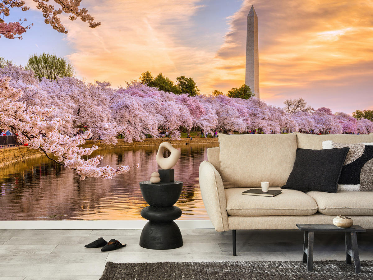 FOTOTAPETE Blühende Kirschbäume Fluss Natur Frühling Sonnenuntergang 400x280 - Blau/Gelb, Papier (400/280cm) - Muralo