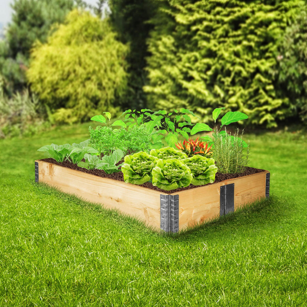 HOCHBEET 1er Set, 120 x 80 x 19 cm, holzdekor - Eiche Artisan, Holz (80/19/120cm) - tectake