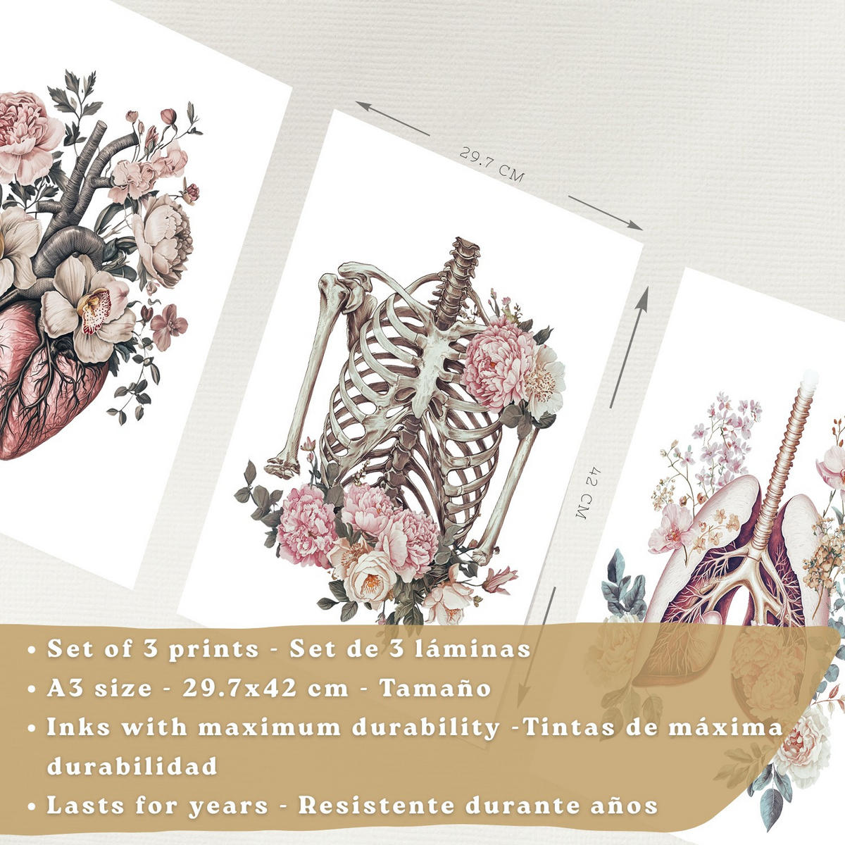 POSTER Set aus 3 Anatomie Florale Vintage Drucke und Wandbilder mit Herz Brustkorb und Lungen Detaillierter Illustrationsstil Größe Rahmenlos A3 - Klar, Papier (29.7/42/3cm) - Nacnic