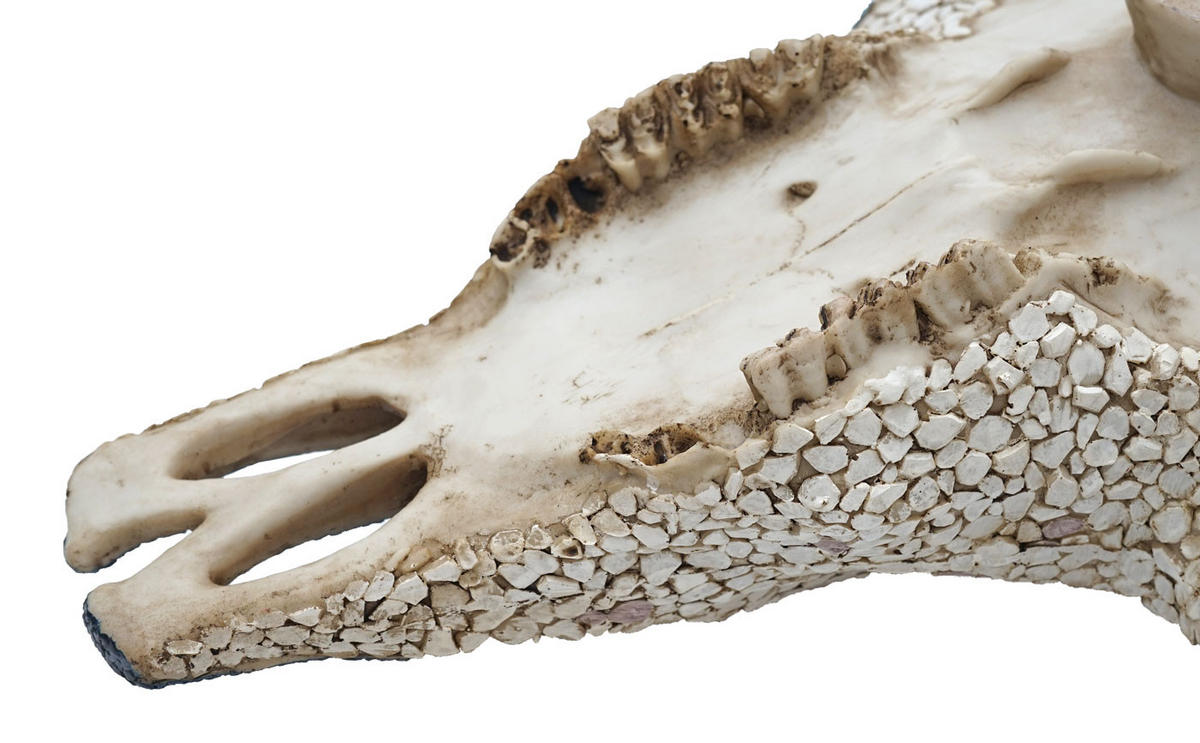 DEKO KUHSCHÄDEL Multicolor - Multicolor, Stein (51/50/25cm) - MCW