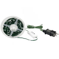 LED-EFFEKTLICHTERKETTE - mit Musiksensor, 100 Mikro-LEDs, IP44 wetterfest für Innen und Außen, 10m Länge - Grün, Kunststoff (100cm) - Northpoint