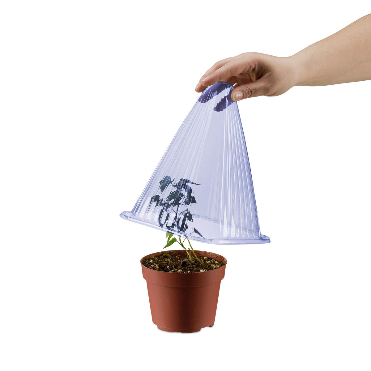 32XPFLANZENHUT - Lila, Kunststoff (19/22/19cm) - Relaxdays