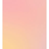 FOTOTAPETE Farbverlauf 2.5 x 2.79 m - Pink, Papier (250/279cm) - ESTAhome