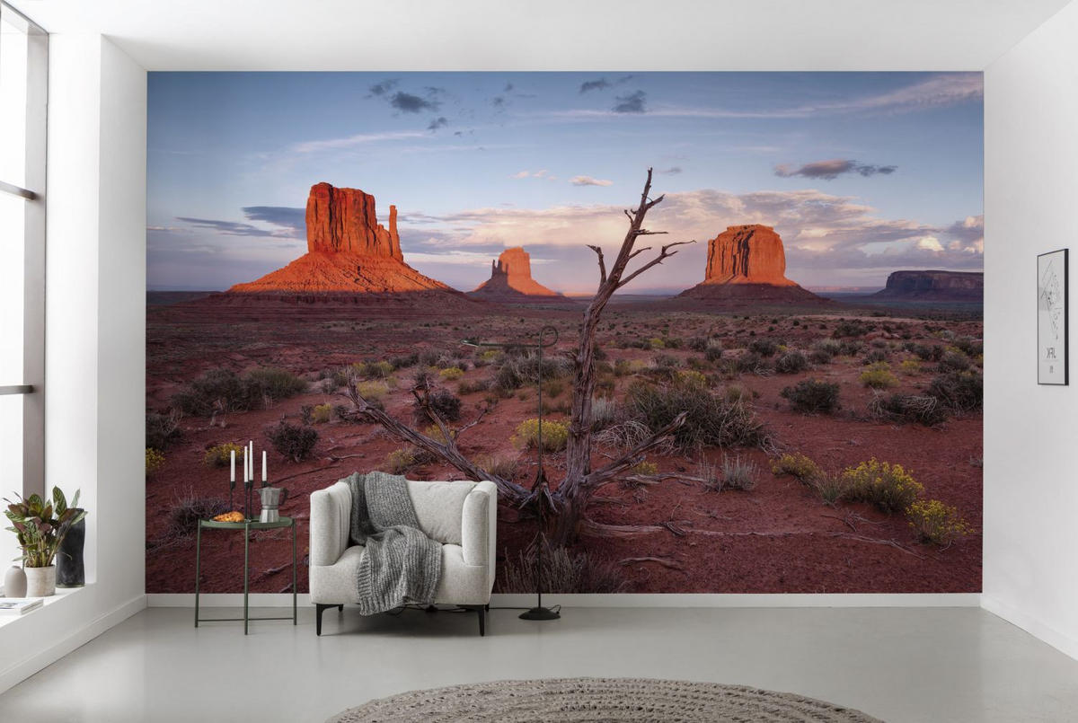 FOTOTAPETE Landschaft 450 x 280 cm - Beige, Papier (450/280cm) - Sanders & Sanders