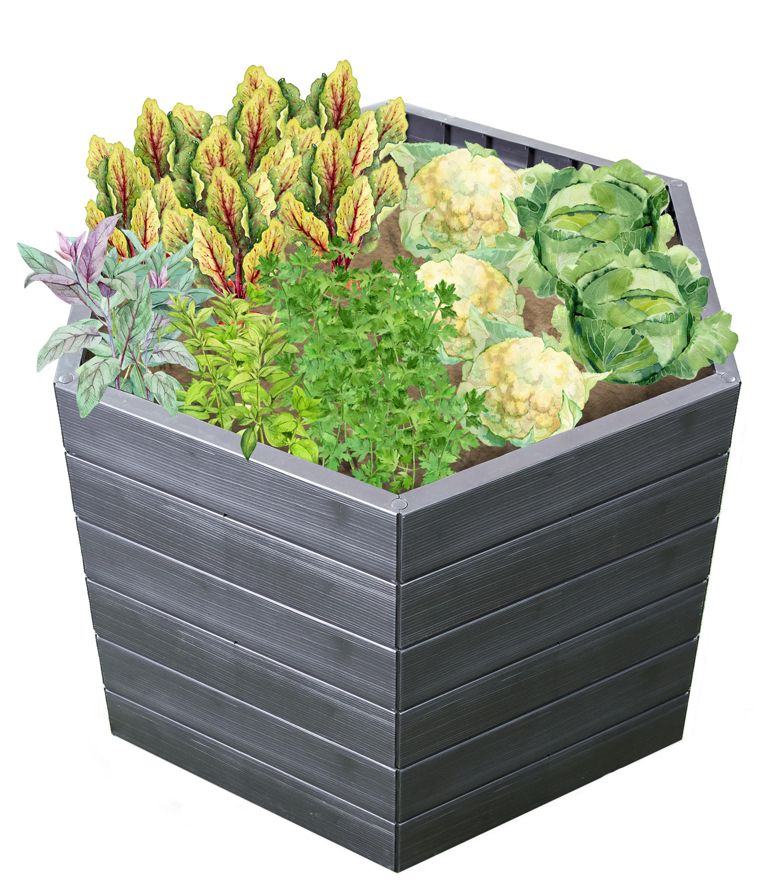 HOCHBEET L 75, inkl. Wassersparsystem - Braun, Kunststoff (110/75/110cm) - GARANTIA